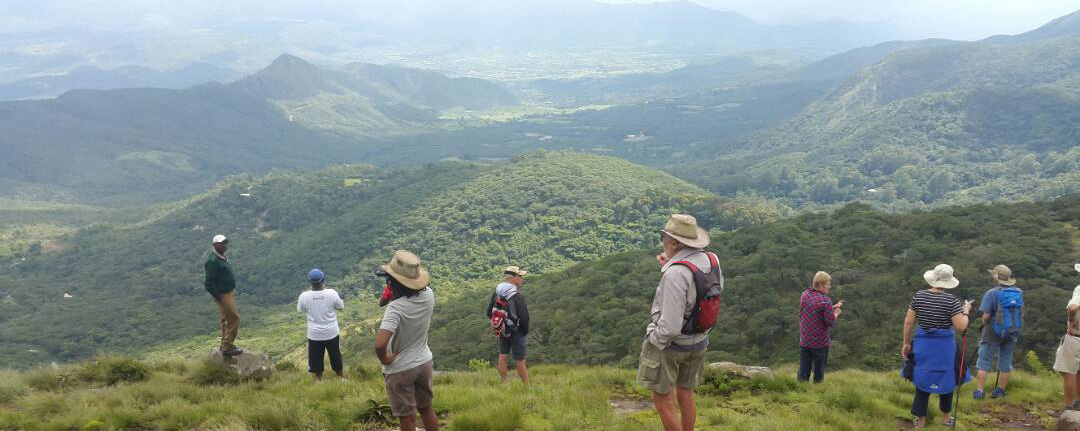 Eastern Highlands Zimbabwe